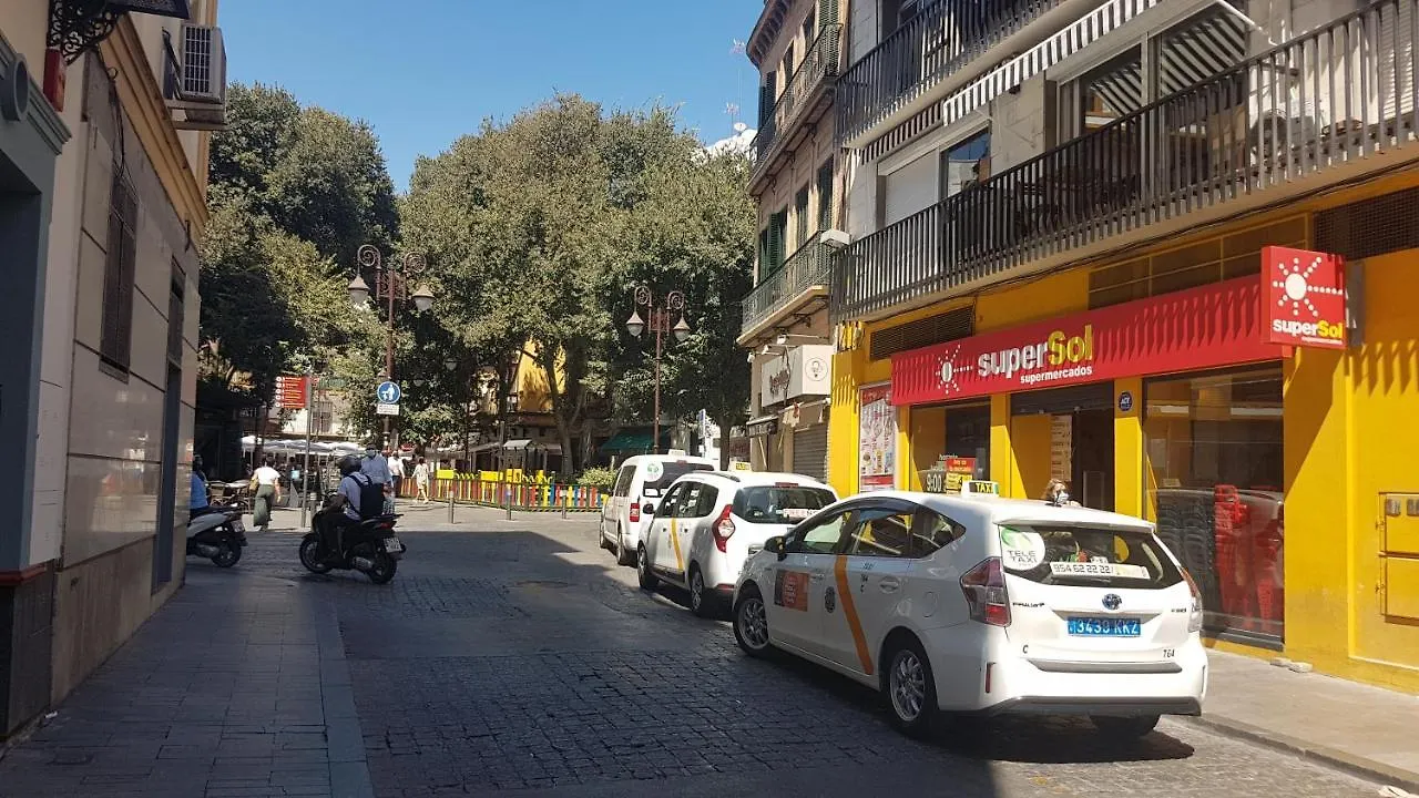Apartamento Tranquilo Y Con Encanto En Palacio Sevillano, Junto Catedral A Acond Y Wifi Apartment Seville